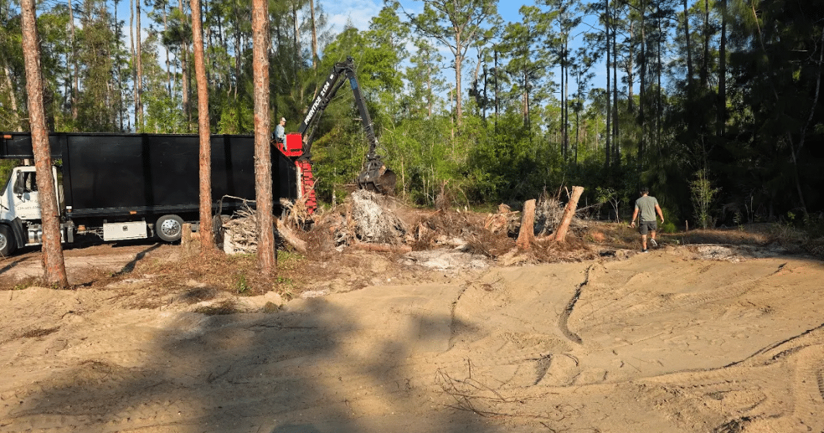 How Much Does Tree Removal Cost in Fort Myers, FL?