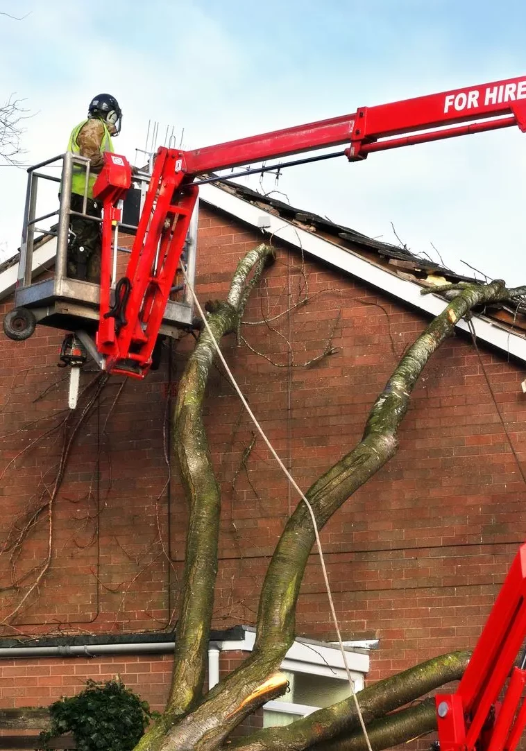 24-hour-emergency-tree-services-hero-12-1920w